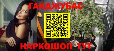 крисы Кунгур