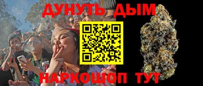 крисы Кунгур