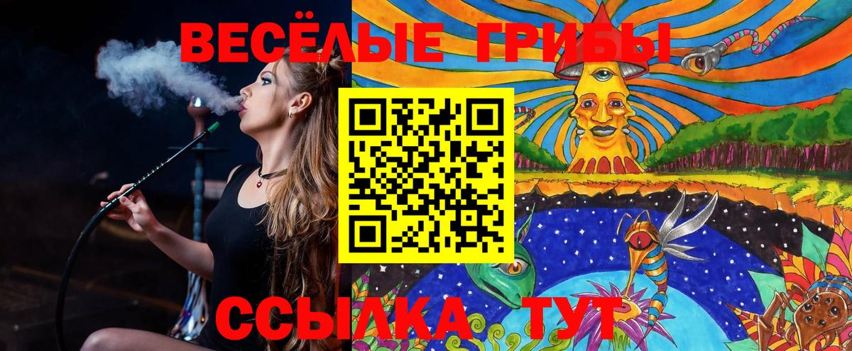 Энгельс  Галлюциногенные грибы ЛСД  что такое   Вход с VPN 