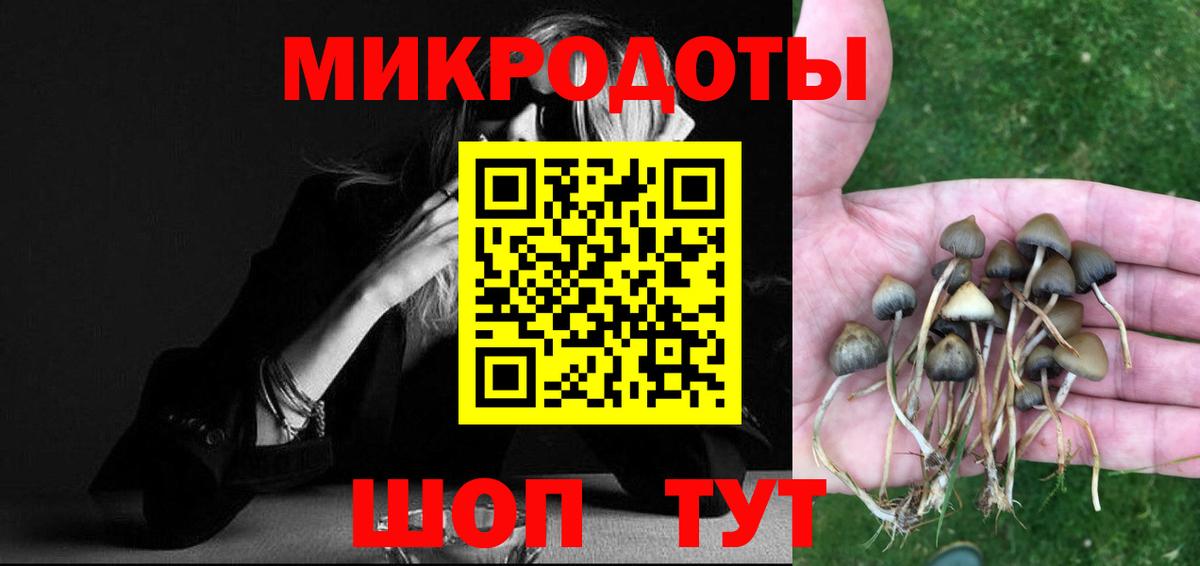 Псилоцибиновые грибы Psilocybine cubensis Энгельс
